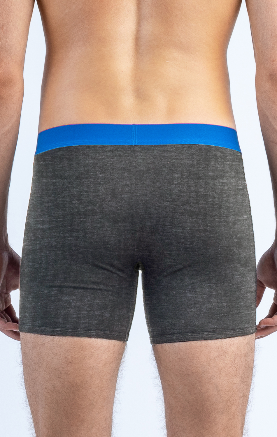 Back view of male model wearing comfortable gray boxer briefs with a blue waistband.