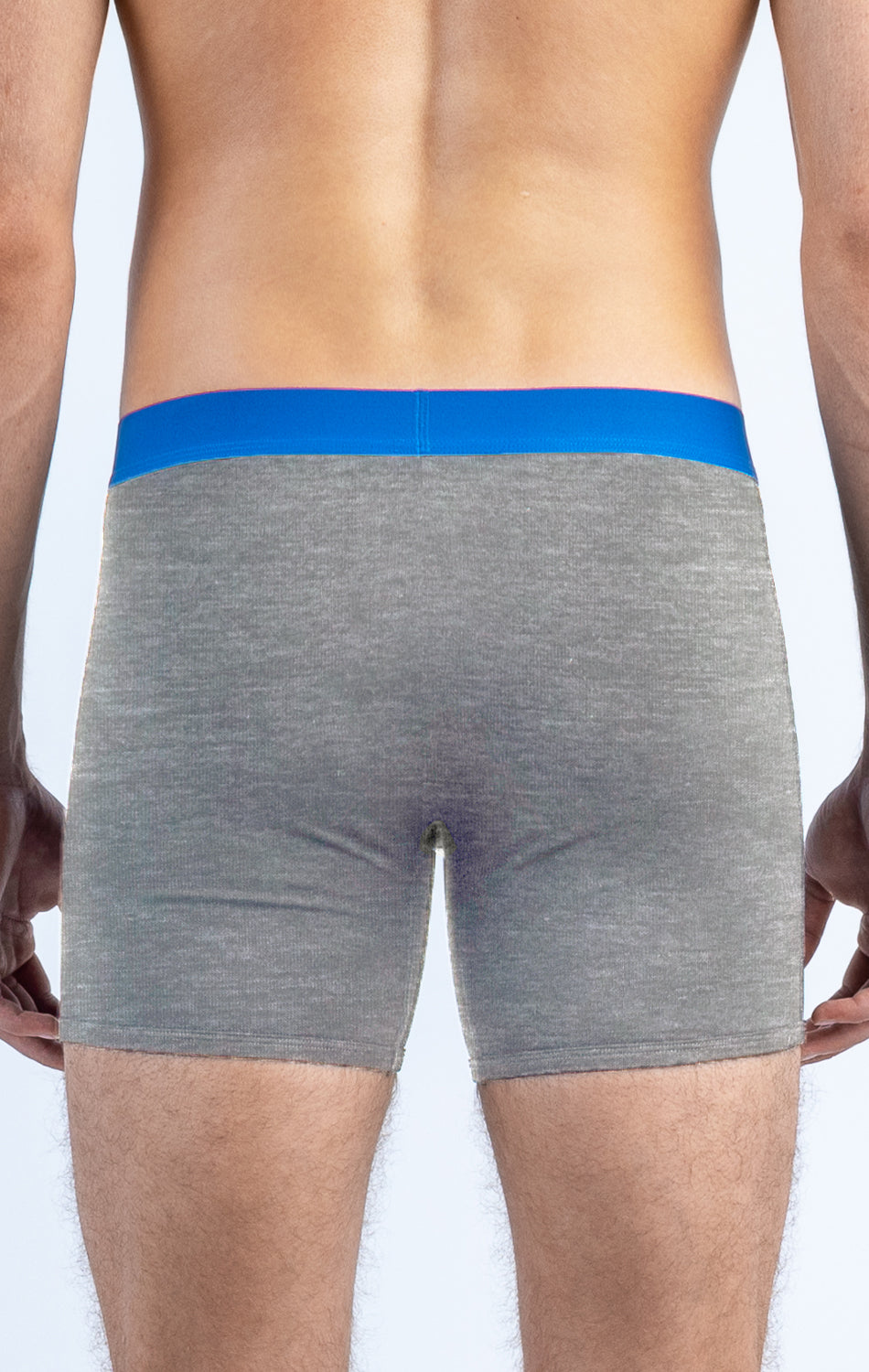 Male wearing gray athletic boxers with blue waistband, rear view on a light background.